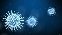 COVID-19 virus particles 